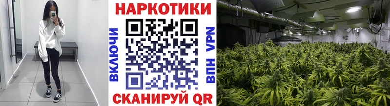 Купить наркотики Эртиль Канабис MDMA Гашиш МЕФ APVP Галлюциногенные грибы