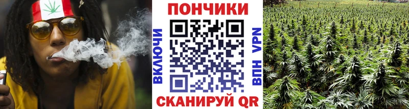 где найти наркотики  Эртиль  Бошки марихуана MAZAR 